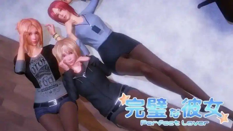 完美女友 完美女友中文官网官方中文DLC说明 封面图